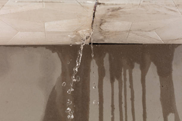 Professional Water Damage Inspection technician working in Mount Sterling, IL